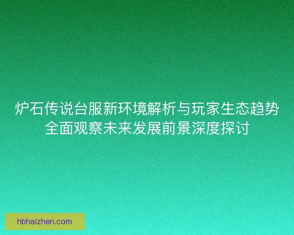 炉石传说台服新环境解析与玩家生态趋势全面观察未来发展前景深度探讨